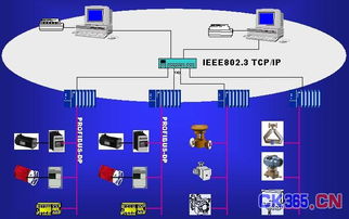現(xiàn)場(chǎng)總線PROFIBUS系統(tǒng)集成與信息系統(tǒng)集成